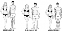 Les morphotypes en musculation