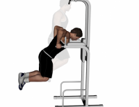 Flexiones, ejercicios de musculación