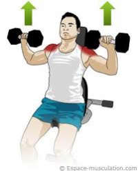 Développé épaules : exercices de musculation