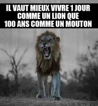l'importance du mental en musculation