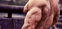 Programa de musculación para los brazos