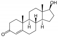 Testosterone in bodybuilding
