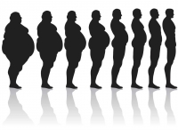 Weight loss and fat loss in bodybuilding