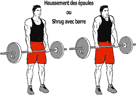 Musculation shrugs ou haussements d'épaules