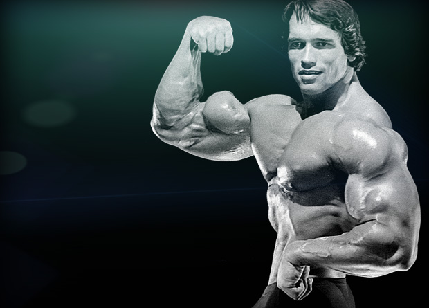 Programme de musculation pour les bras