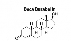 Nandrolon (Deca-Durabolin): anaboles Steroid