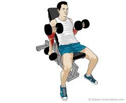 curl pupitre pour la musculation des biceps