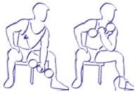 curl concentré pour la musculation des biceps