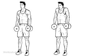 musculation haussements d'épaules