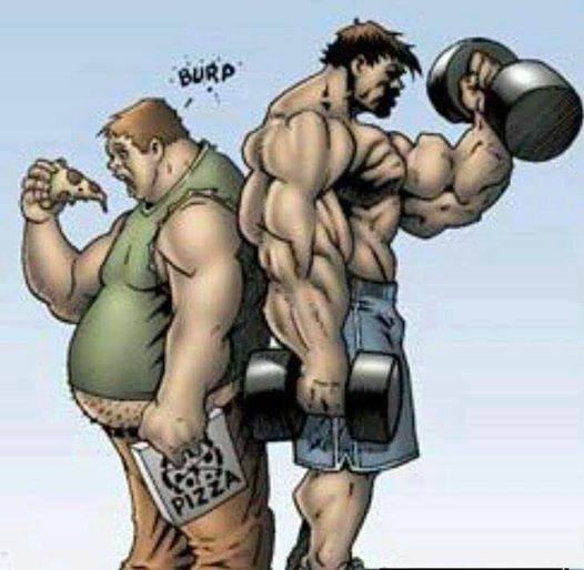 graisse et musculation