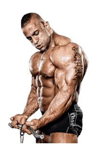 Congestion in bodybuilding