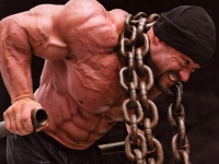 Strength training: program and training