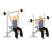 musculation développé militaire