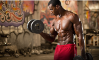 Half body program