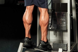 Calf training: 3 programmes to follow