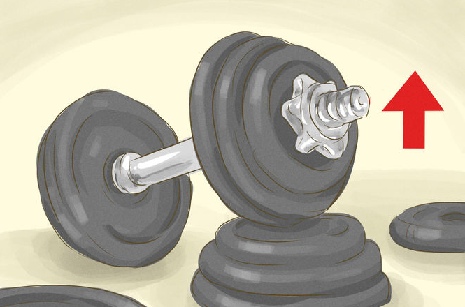 Poids entraînement de musculation