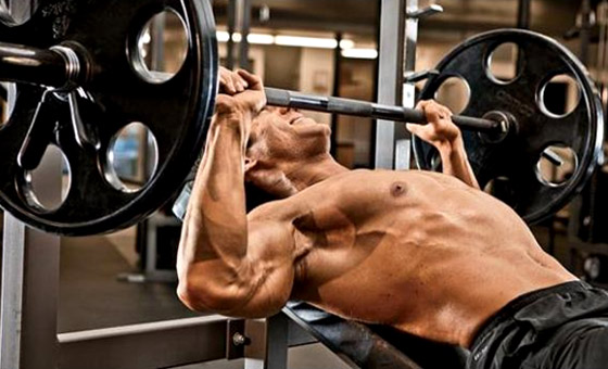 Musculation programme niveau intermédiaire