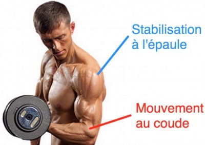 stabilisateur épaule.jpg