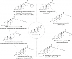 Sustanon: Anaboles Steroid