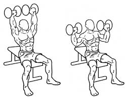musculation développé épaules
